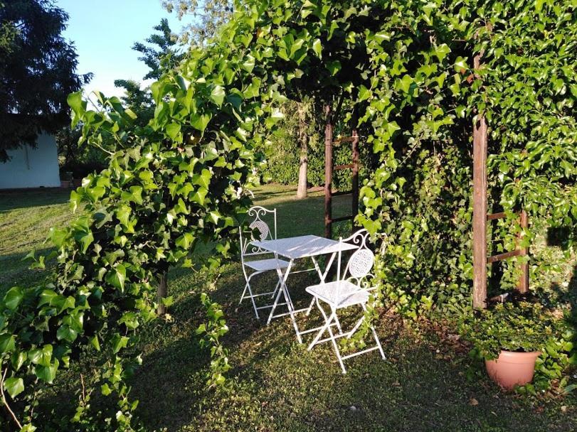 B&B Borgo Del Priolo - Petfriendly Τσεζένα Εξωτερικό φωτογραφία