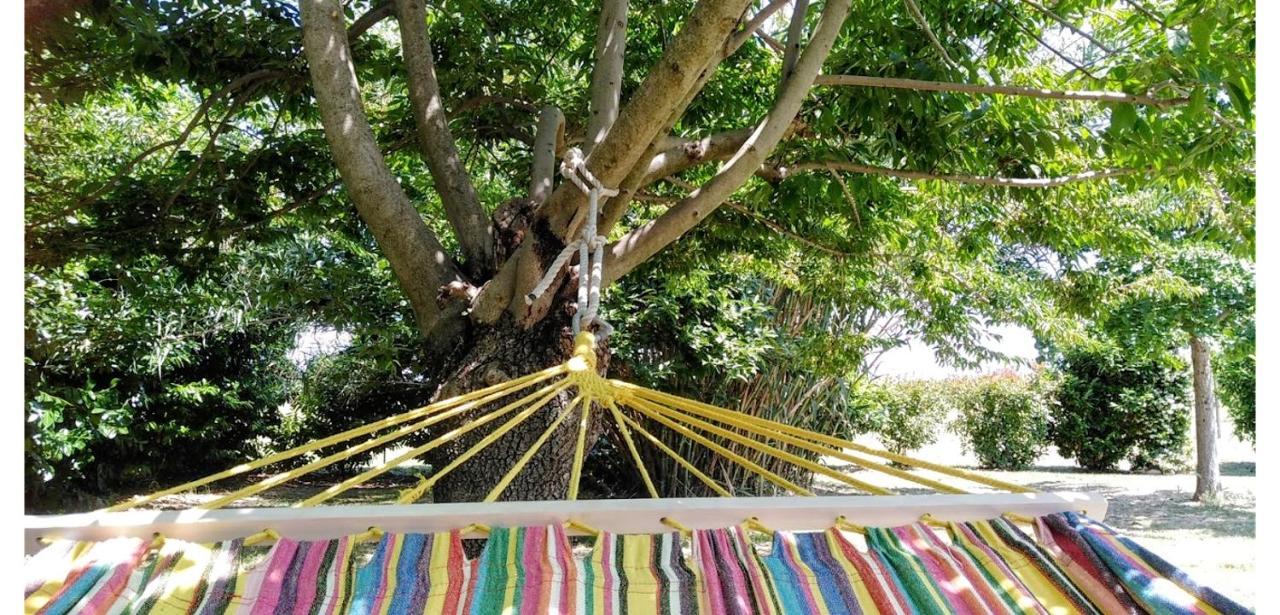 B&B Borgo Del Priolo - Petfriendly Τσεζένα Εξωτερικό φωτογραφία