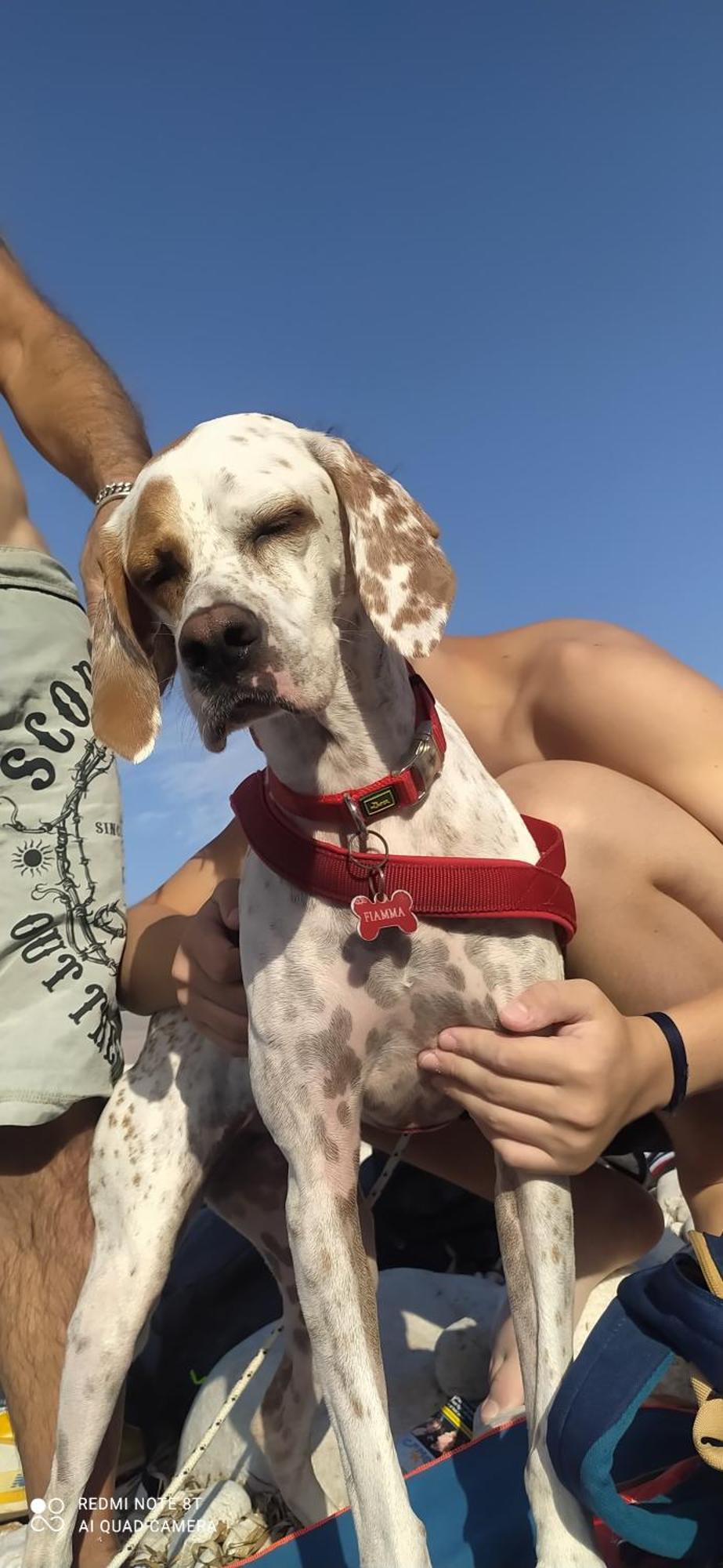 B&B Borgo Del Priolo - Petfriendly Τσεζένα Εξωτερικό φωτογραφία